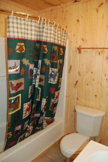 Wood-paneled bathroom with colorful rustic shower curtain