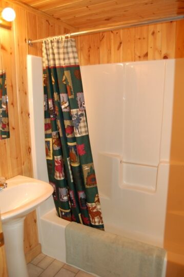 Rustic bathroom with wood paneling and shower curtain