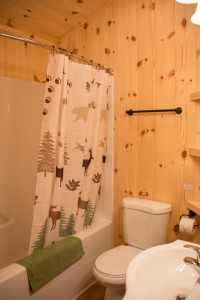 Cabin 0 Fox - full bath