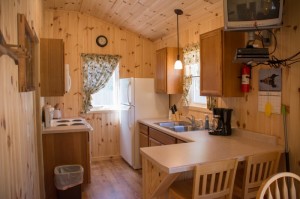 Cabin 0 Fox - kitchen