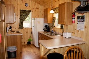 Cabin 1 Hummingbird - kitchen   