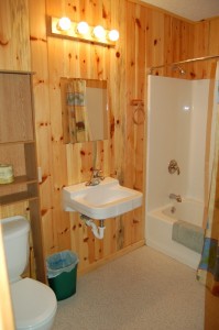 Cabin 10 Moose - full size bath