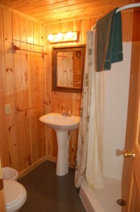 Cabin 6 Eagle - shower bath 