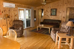 Cabin 6 Eagle - living area 