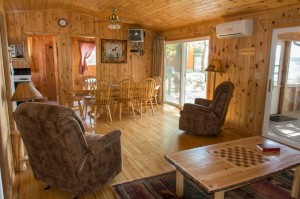 Cabin 6 Eagle - living area 