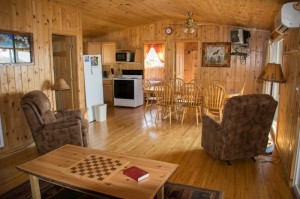 Cabin 6 Eagle - living area 