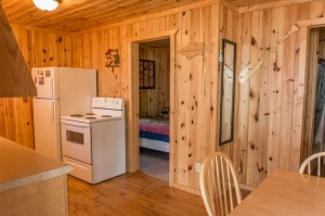 Cabin 3 Bear - kitchen