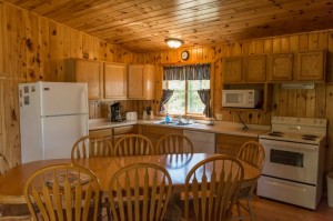 Cabin 9 Dragonfly - kitchen