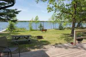 Cabin 9 Dragonfly - lake view